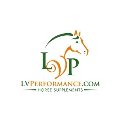 lvperformance.com