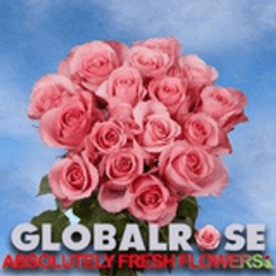 globalrose.com