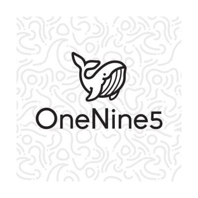 onenine5.com