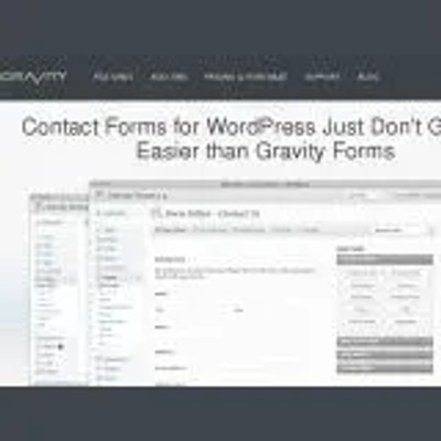 gravityforms.com