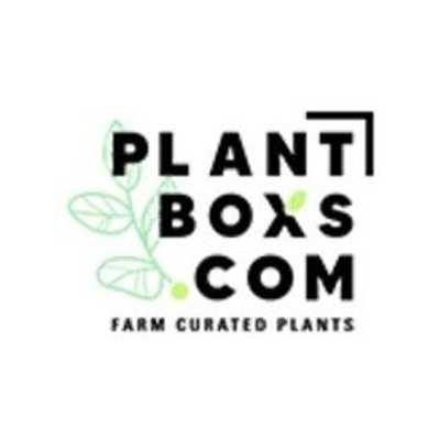 plantboxs.com