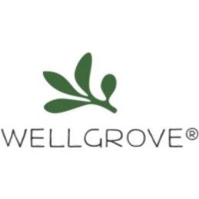 wellgrovehealth.com