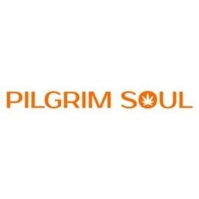 pilgrimsoul.com