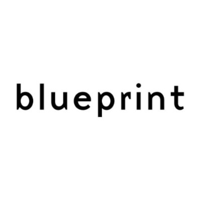 blueprint-x.com