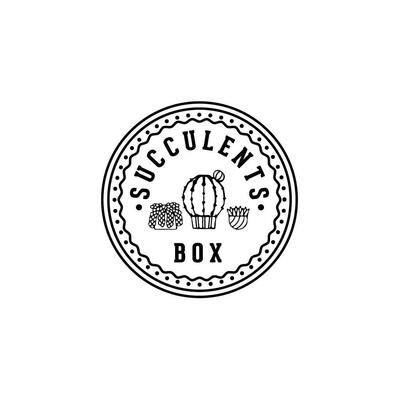 succulentsbox.com