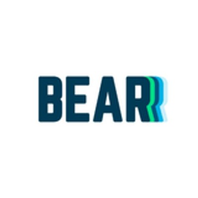 bearmattress.com