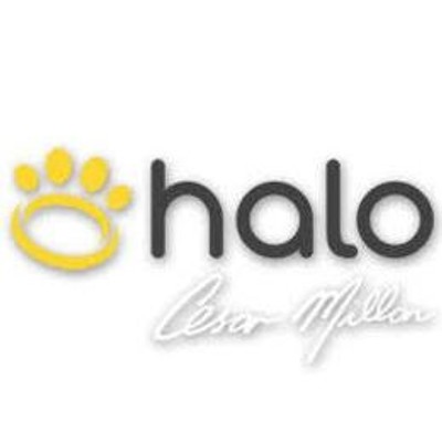 halocollar.com
