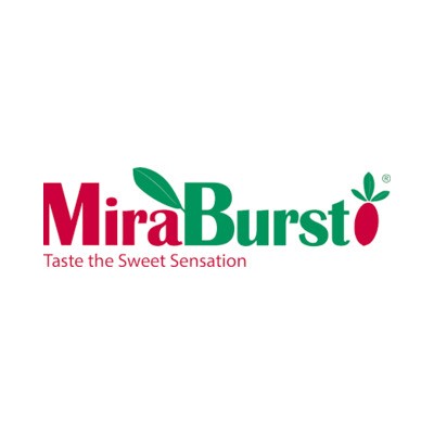 miraburst.com