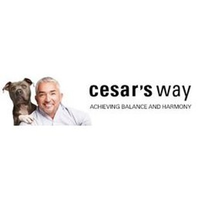 cesarsway.com