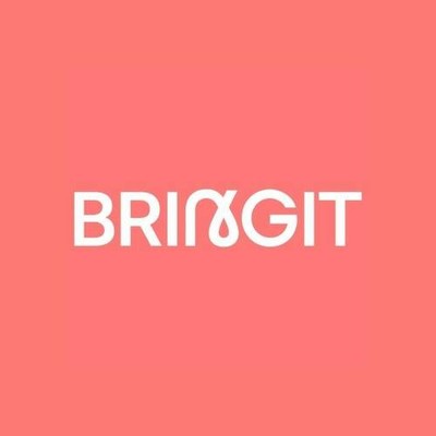 bringitbags.com