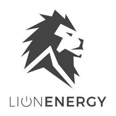lionenergy.com