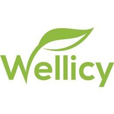 wellicy.com