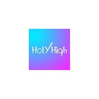 holyhighdirect.com