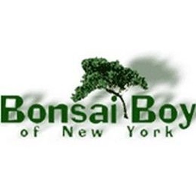 bonsaiboy.com